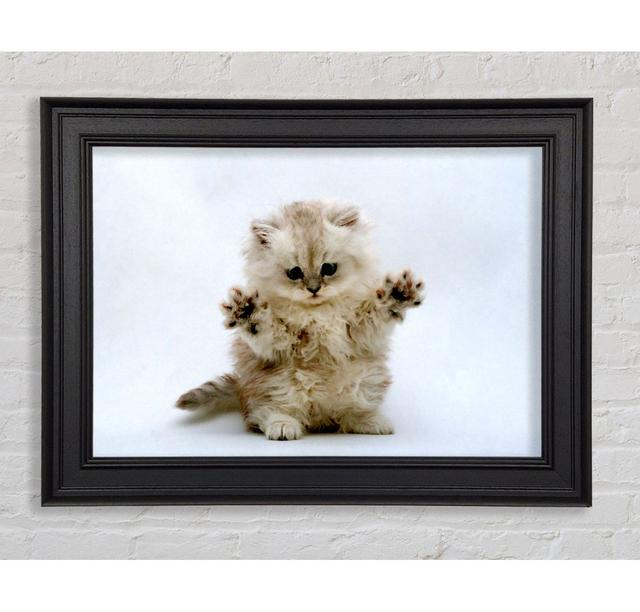 Cute Kitten Paws Framed Print Ebern Designs Size: 100cm H x 141.4cm W on Productcaster.