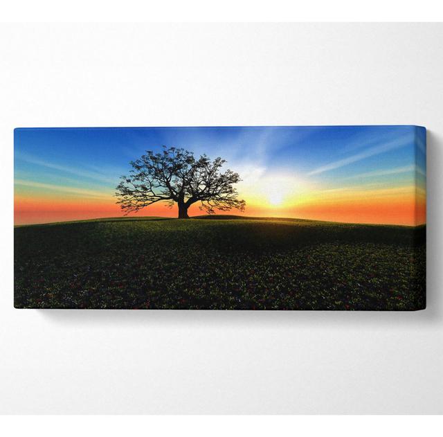 Sunset Hill - Print Ebern Designs Size: 71cm H x 162.5cm W x 10cm D on Productcaster.