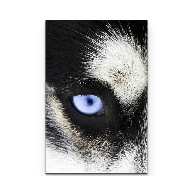 Leinwandbild Strahlend blaue Augen eines Hundes – Nahaufnahme East Urban Home Größe: 90 L x 60 B on Productcaster.