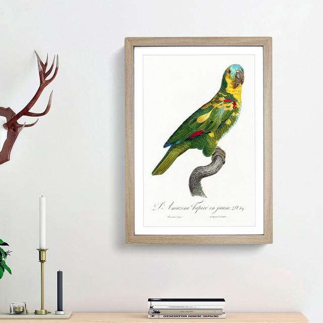 The Turquoise-Fronted Amazon Parrot by F. Levaillant - Picture Frame Painting Print East Urban Home Size: 65cm H x 48cm W x 2cm D, Frame Option: Oak F on Productcaster.