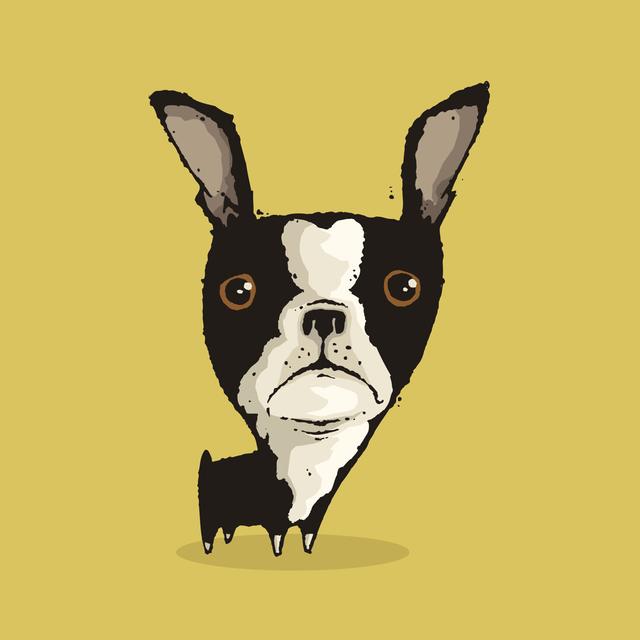 Boston Terrier von Quisp65 - Kunstdrucke auf Leinwand ohne Rahmen Rosdorf Park Größe: 40 cm H x 40 cm B on Productcaster.