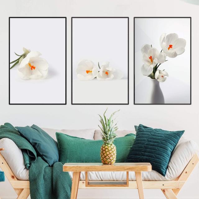 Snowdrop Flowers - 3 Piece Picture Frame Graphic Art Print Set on Paper Clock Canvas Size: 50cm H x 120cm W x 3cm D, Frame Option: Black Framed on Productcaster.