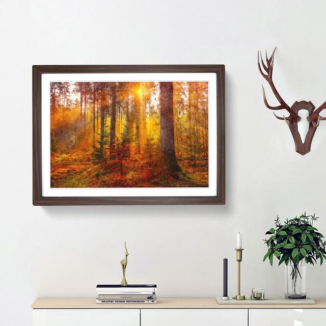 Mystery Forest - Picture Frame Graphic Art Print East Urban Home Frame Option: Walnut Framed, Size: 62cm H x 87cm W x 2cm D on Productcaster.