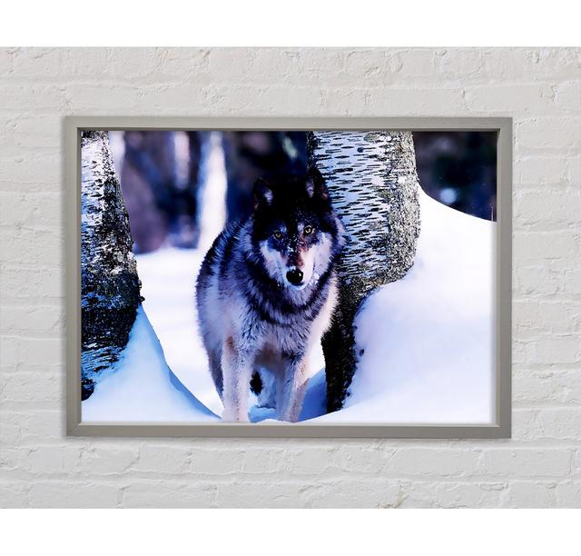 Wolf In The Snow - Single Picture Frame Art Prints on Canvas Bright Star Size: 59.7cm H x 84.1cm W x 3.3cm D on Productcaster.