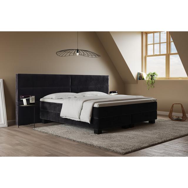 Echtes Boxspringbett Giulia mit Premium Visco Topper, mit Samtstoff bezogen Canora Grey Matratzenhärte: H2 - bis etwa 75 kg, Farbe: Schwarz, Größe: 24 on Productcaster.