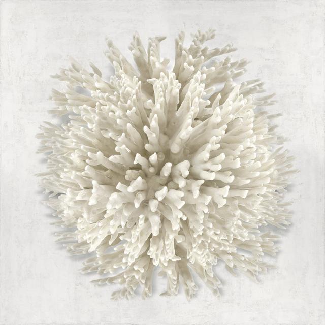 Coral I House of Hampton Size: 30cm H x 30cm W on Productcaster.