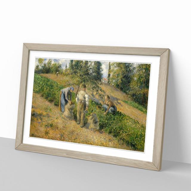 The Harvest by Camille Pissarro - Picture Frame Painting East Urban Home Frame Option: Oak, Size: 36cm H x 48cm W x 2cm D on Productcaster.