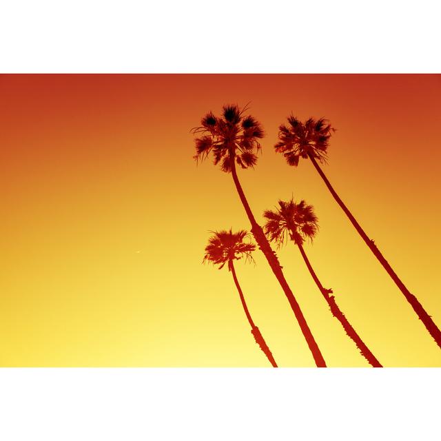 California Palms at Sunset by Evgeniyaphotography - Wrapped Canvas Photograph Bay Isle Home Size: 81cm H x 122cm W x 3.8cm D on Productcaster.