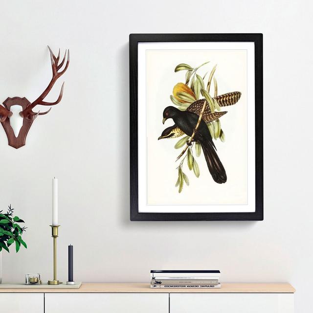 Flinder's Cuckoo by Elizabeth Gould - Picture Frame Art Print East Urban Home Size: 65cm H x 48cm W x 2cm D, Frame Option: Black Framed on Productcaster.