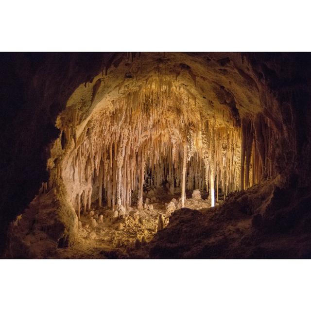 Carlsbad Caverns National Park In New Mexico, United States Union Rustic Size: 51cm H x 76cm W x 3.8cm D on Productcaster.