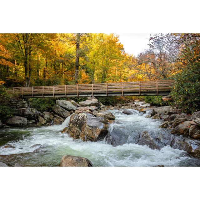 Little Pigeon River - Wrapped Canvas Print Alpen Home Size: 61cm H x 91cm W on Productcaster.