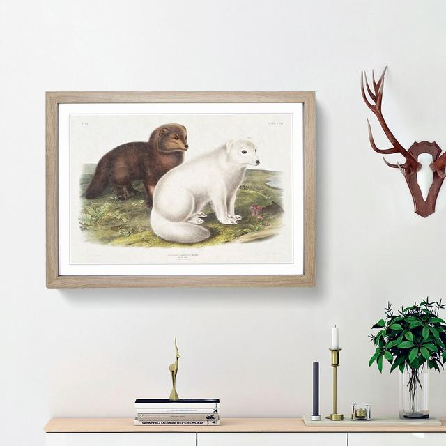 Arctic Fox by J.W. Audubon - Picture Frame Painting Print on Paper East Urban Home Frame Option: Oak Framed, Size: 33cm H x 45cm W x 2cm D on Productcaster.