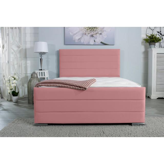 Marcelle Upholstered Platform Bed Wayfair Sleep Colour: Pink, Size: Small Double (4') on Productcaster.