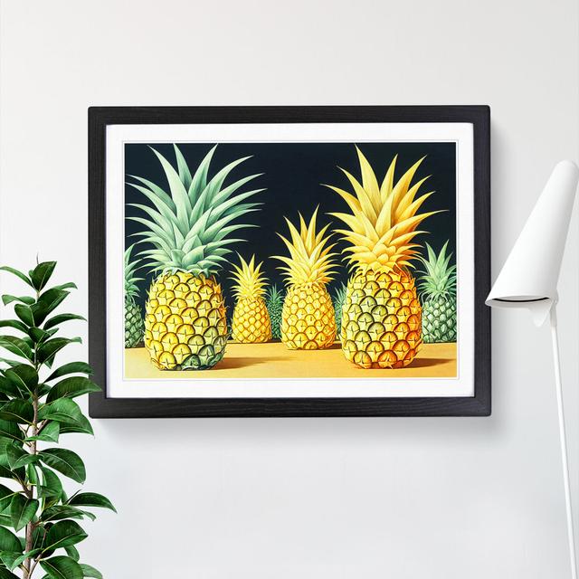 Selection Of Pineapples - Single Picture Frame Print 17 Stories Size: 25cm H x 34cm W x 2cm D, Frame Colour: Black on Productcaster.