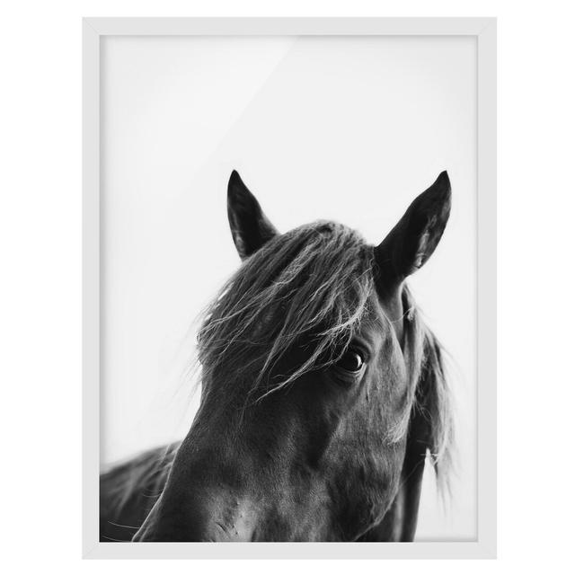 Curious Horse - Picture Frame Graphic Art Rosalind Wheeler Frame Option: White Framed, Size: 100cm H x 70cm W x 2cm D on Productcaster.