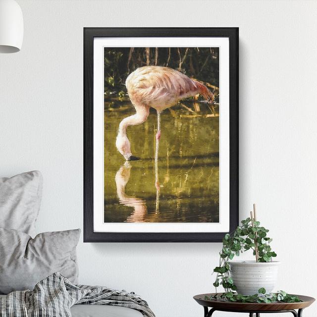 Pink Flamingo Vol.2 - Picture Frame Graphic Art East Urban Home Frame Option: Black Framed, Size: 65cm H x 48cm W x 2cm D on Productcaster.