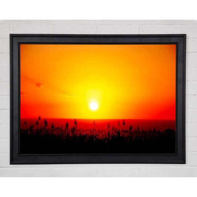 Red Ocean Flowers Framed Print Highland Dunes Format: Matte Black Framed Paper, Size: 42cm H x 59.7cm W x 1.5cm D on Productcaster.