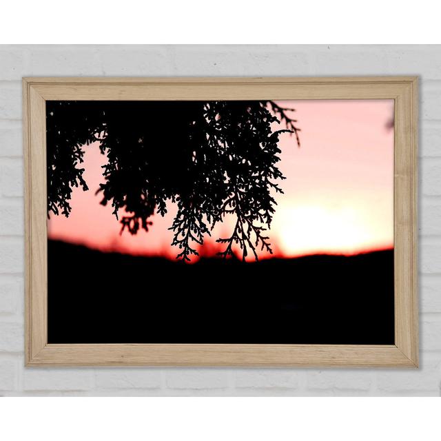 Kiefernsträucher im Sonnenuntergang - Druck Brayden Studio Größe: 84,1 cm H x 118,9 cm B x 1,5 cm T on Productcaster.