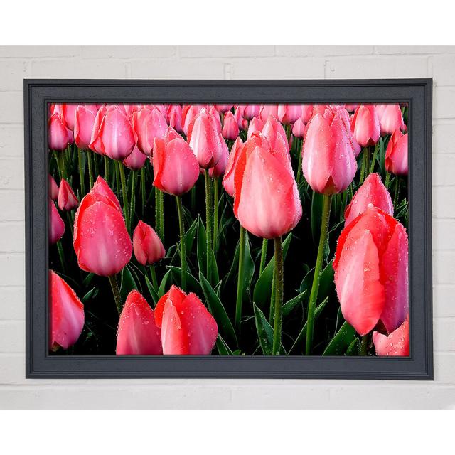 Single Picture Frame Art Prints Ebern Designs Size: 59.7cm H x 84.1cm W on Productcaster.