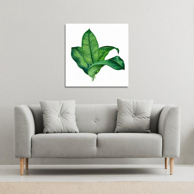 Bunched Leaves Canvas Print Andrew Lee on Productcaster.