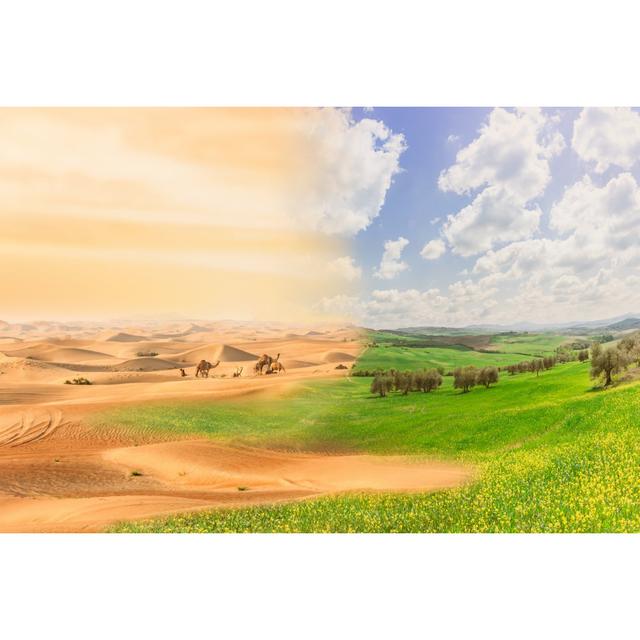 Desertification Process by Eureka_89 - Wrapped Canvas Print Ebern Designs Size: 30cm H x 46cm W x 3.8cm D on Productcaster.