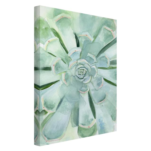 Succulent Watercolor Light - Wrapped Canvas Graphic Art Bloomsbury Market Format: Canvas 260g/m², Size: 150cm H x 100cm W on Productcaster.