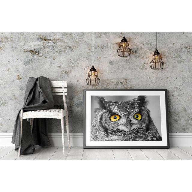 Gerahmtes Wandbild Ziemlich Long-Eared Owl East Urban Home Farbe: Gelb, Größe: 70 cm H x 100 cm B x 2,5 cm T on Productcaster.