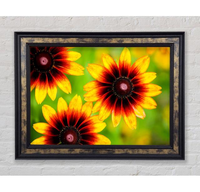 Sun Flower Garden - Print Bright Star Size: 59.7cm H x 84.1cm W x 8cm D on Productcaster.