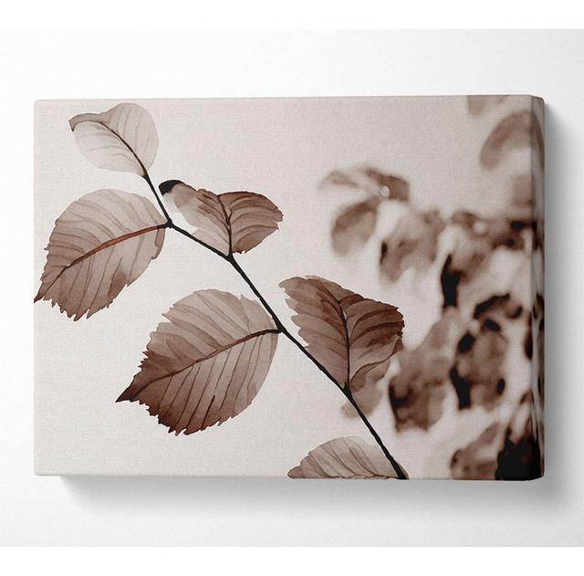 Cocoa Leaves - Print ClassicLiving Size: 81cm H x 121.9cm W x 10cm D on Productcaster.