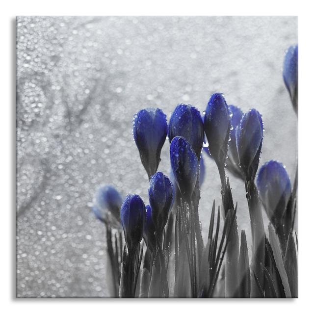 Spring Flower Love - Unframed Photograph on Glass Brayden Studio Size: 80cm H x 80cm W x 0.4cm D on Productcaster.