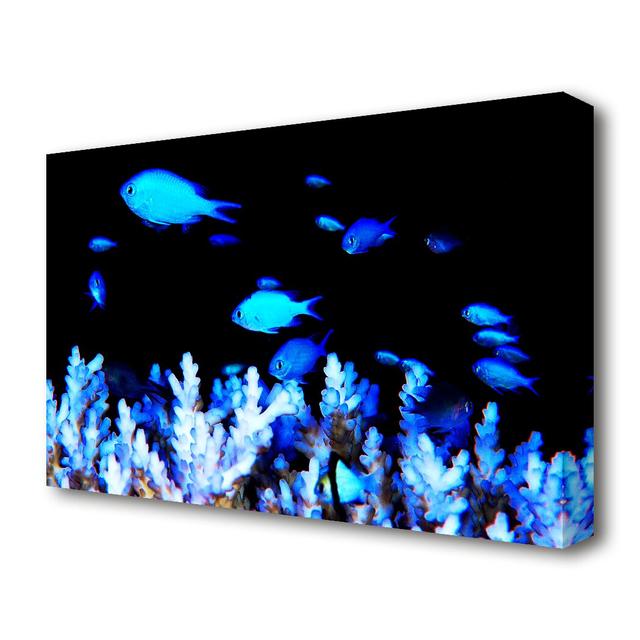 The Ocean World Ocean - Wrapped Canvas Photograph Print East Urban Home Size: 66 cm H x 101.6 cm W on Productcaster.