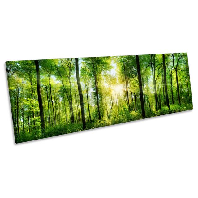 Green Forest Trees Sunset - Wrapped Canvas Panoramic Photograph 17 Stories Size: 60.96cm H x 182.88cm W x 4cm D on Productcaster.