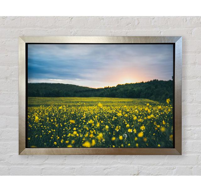 Surreal Field Of Yellow Flowers - Single Picture Frame Art Prints Ophelia & Co. Format: Champagne Silver Framed Paper, Size: 84.1cm H x 118.9cm W x 3. on Productcaster.