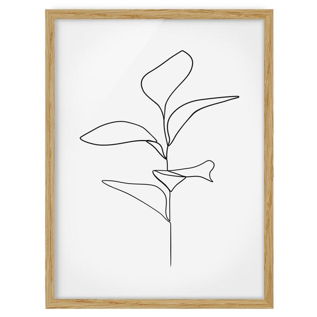 Line Art Plant Leaves Black White - Picture Frame Drawing Rosalind Wheeler Size: 40cm H x 30cm W x 2cm D, Frame Option: Brown on Productcaster.