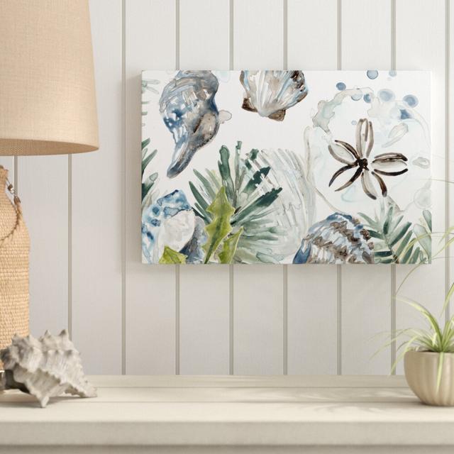 Coastal Christmas Shell Collection D by June Erica Vess - Wrapped Canvas Painting Blue Elephant Size: 30cm H x 46cm W on Productcaster.