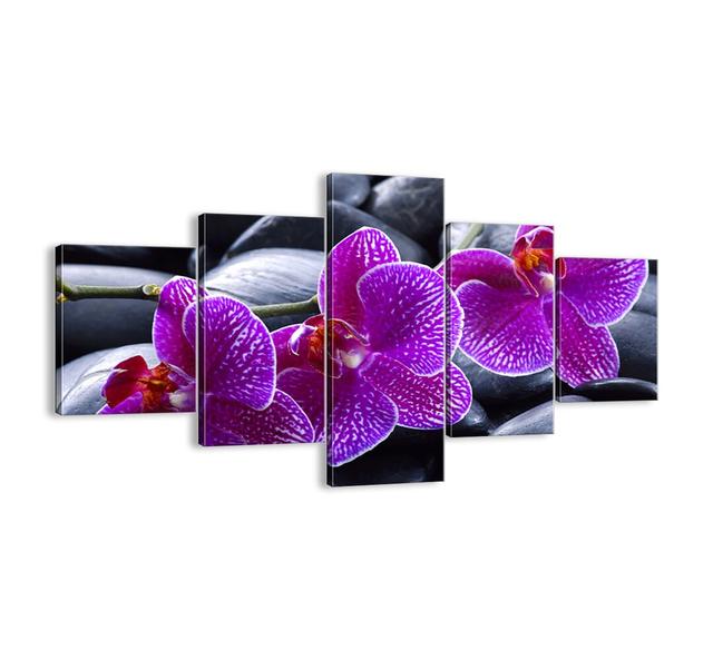 The Stones Brightened with Delight - 5 Piece Unframed Photograph Print Set on Canvas Bloomsbury Market Size: 70cm H x 125cm W x 1.8cm D on Productcaster.