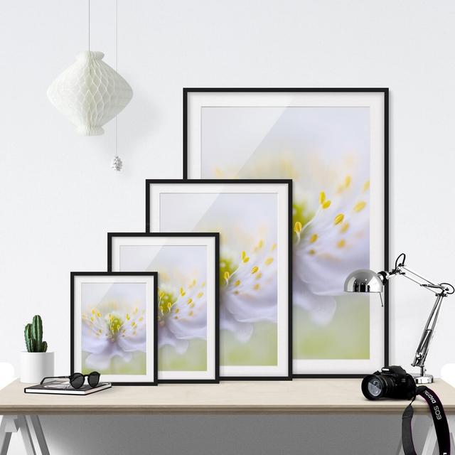 'Anemone Beauty' Framed Painting Print East Urban Home Frame Options: Matt black, Size: 70cm H x 50cm W on Productcaster.