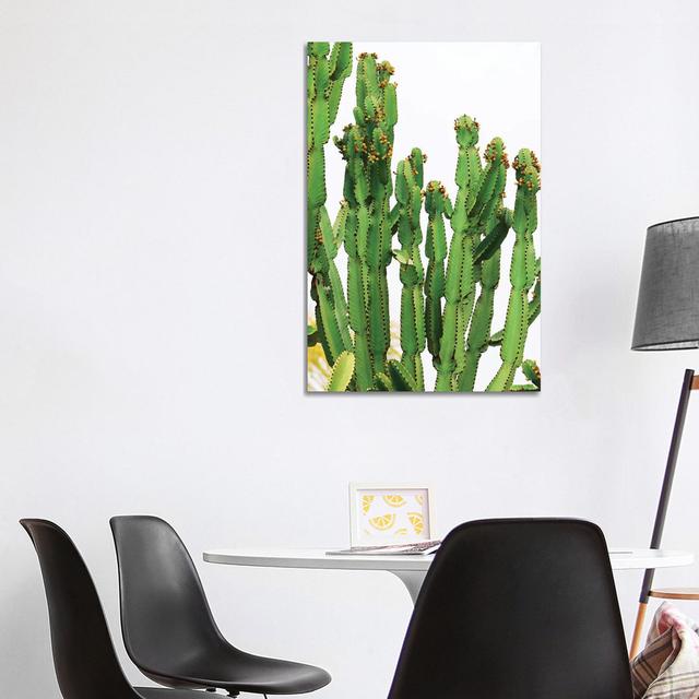 In A Cactus Mood IV by Irena Orlov - Wrapped Canvas Print Natur Pur Size: 101.6cm H x 66.04cm W x 3.81cm D on Productcaster.