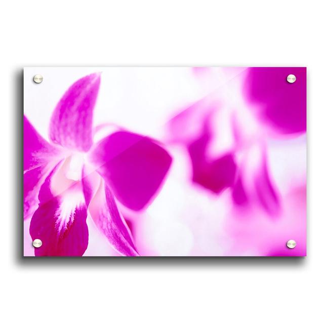 Purple on White Background Flowers - Unframed Photograph Print on Acrylic East Urban Home Size: 59.4cm H x 84.1cm W on Productcaster.