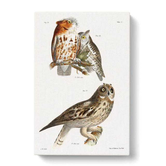 Owls by J.E. De Kay - Wrapped Canvas Painting Print East Urban Home Size: 60cm H x 40cm W x 3cm D on Productcaster.