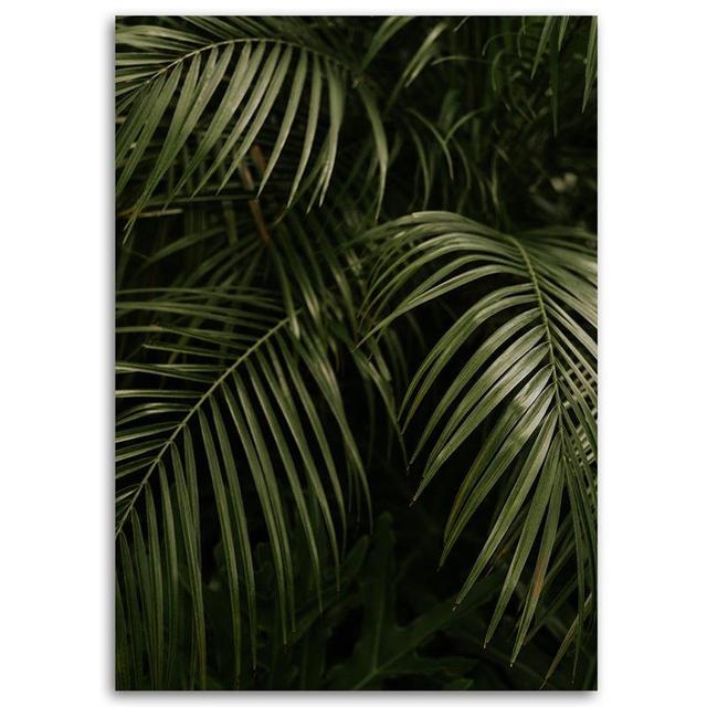 Palm Tree Lush Leaves - Wrapped Canvas Photograph Print Bay Isle Home Size: 120cm H x 80cm W on Productcaster.