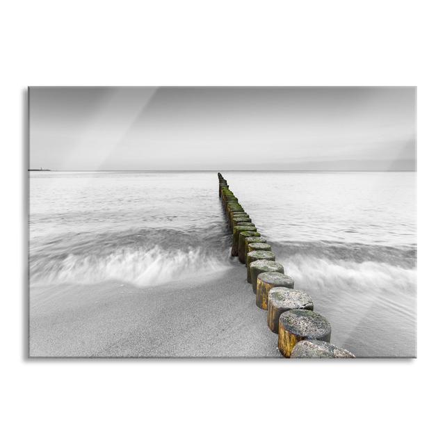 Small Tree Stumps in the Sea - Unframed Photograph on Glass Highland Dunes Size: 60cm H x 80cm W x 0.4cm D on Productcaster.