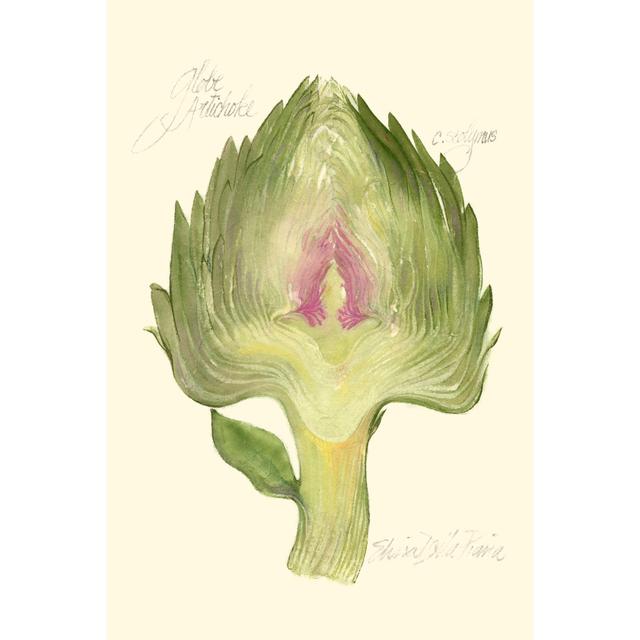 Globe Artichoke by Elissa Della-Piana - Wrapped Canvas Print 17 Stories Size: 91cm H x 61cm W x 3.8cm D on Productcaster.