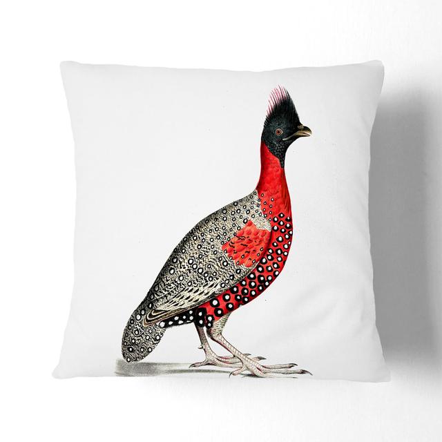 Black-Headed Pheasant By John Edward Gray East Urban Home Size: 55cm H x 55cm W x 20cm D, Backing Colour: White on Productcaster.