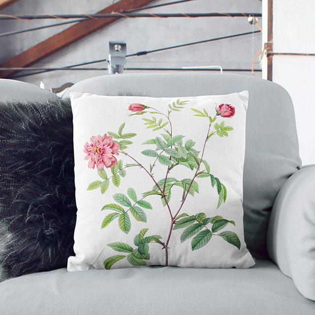 Cinnamon Rose by Pierre-Joseph Redoute Cushion with Filling East Urban Home Size: 55cm H x 55cm W x 20cm D, Backing Colour: White on Productcaster.