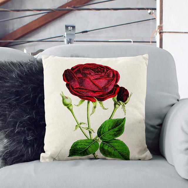 Illustration of a Red Prince Noir Rose Cushion with Filling East Urban Home Size: 55cm H x 55cm W x 20cm D, Backing Colour: Stone on Productcaster.