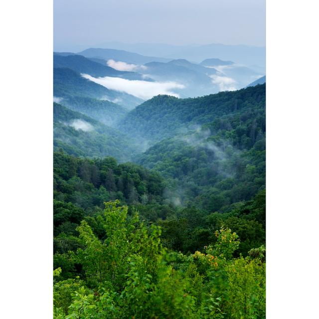 The Green Forests by Ericfoltz - Wrapped Canvas Print Alpen Home Size: 46cm H x 30cm W x 3.8cm D on Productcaster.