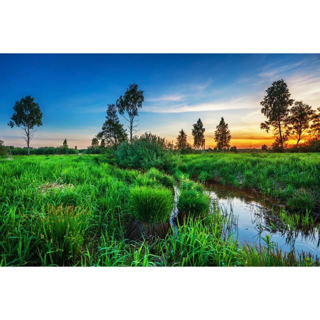 Soumaya Summer Sunset Around Field by DeltaOFF - Wrapped Canvas Photograph Latitude Run Size: 20cm H x 30cm W x 3.8cm D on Productcaster.