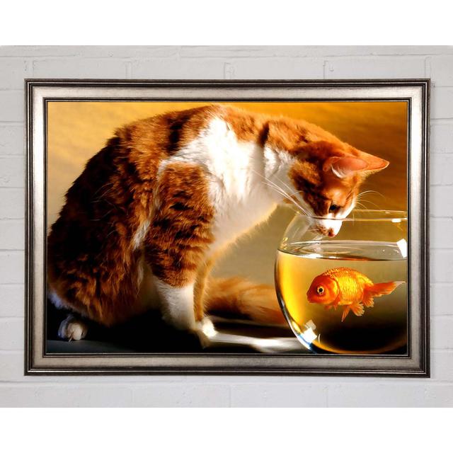 Cat And Fish - Single Picture Frame Art Prints Brayden Studio Size: 59.7cm H x 84.1cm W x 1.5cm D on Productcaster.