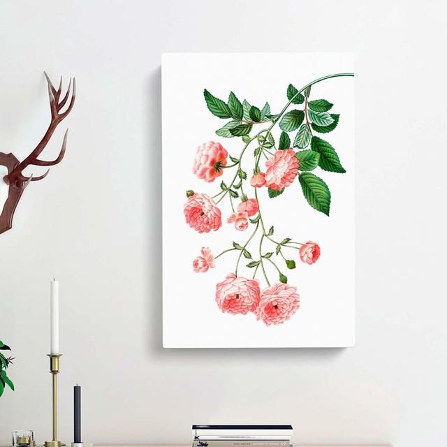 Rambler Roses by Pierre-Joseph Redoute - Wrapped Canvas Print East Urban Home Size: 76cm H x 50cm W x 3cm D on Productcaster.